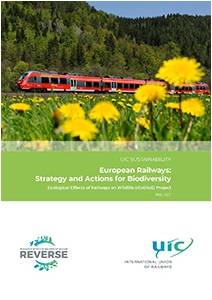 European Railways: Strategy...