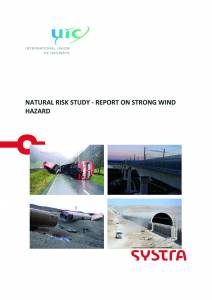 Natural Risk Study - Report...